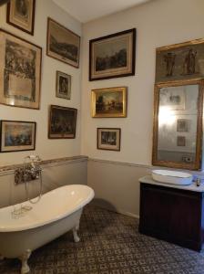 B&B / Chambres d'hotes Chateau de Crepol : photos des chambres