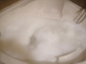 Luxurious panoramic Nile view room