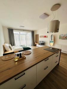 Sunny apartment BRNO