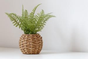 Three-Bedroom House with Garden in Newton-Le-Willows