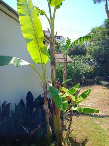 Kendine özgü huzur doğa ve deniz keyfini yaşayın