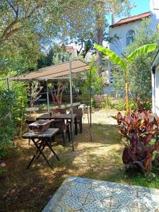 Kendine özgü huzur doğa ve deniz keyfini yaşayın