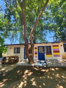 Erdem Ciftligi Ephesus Arena