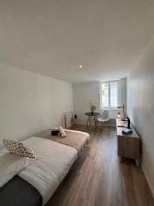 Appartements Studio Roanne 10 min gare : photos des chambres