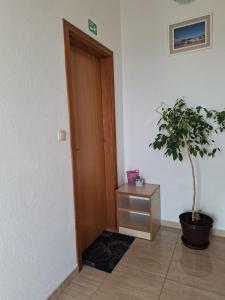 Apartmani Lucia - 33150