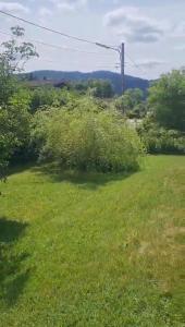 Maison RoMa, se ressourcer proche de Gerardmer et La Bresse