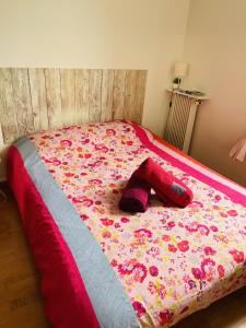 B&B / Chambres d'hotes Chambre privee - Place Verdun Tours : photos des chambres