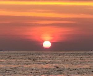 Sunflower Guesthouse