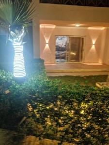 شاليه محجوب بديمورا