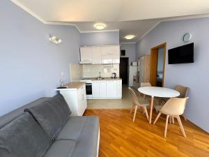 One bedroom apartment with spectacular view