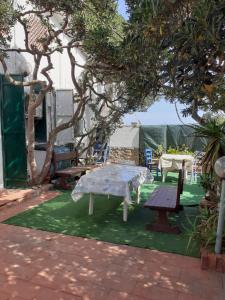 Miramare struttura sulla spiaggia img1