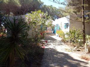 Beachfront villa, right ON SAND! img27