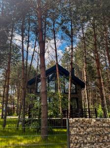 WILLA LABA CHAŃCZA nad jeziorem, dom w lesie z opcją balii