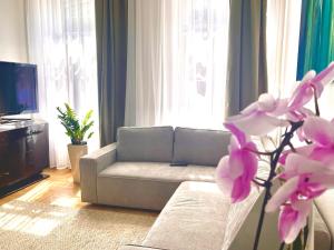 Aviator apartment in the city center