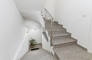 Apartmani Lukić
