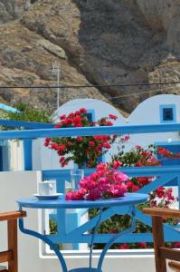 Flora Studios Perissa Santorini