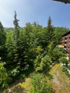Appartements Appartement entier duplex 34m2 au seignus Allos : photos des chambres