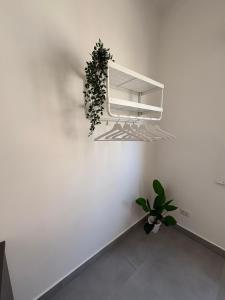 Habitat: Luxury home Napoli centro