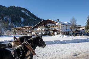 Gasthof Restaurant Pizzeria Enzian - Sommerbergbahnen inklusive