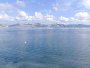 Apartment in Alcudia near Stunning Beach