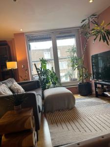 2 Bed, 2 Bath flat in Central London, Hosted by Laura Fellows
