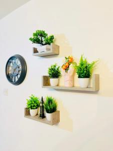 Beautiful and Spacious 4 Bed Room House In Coleshill-NEC