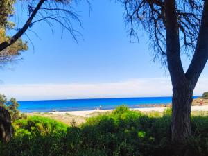 Beachfront villa, right ON SAND! img3