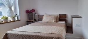 Apartamenty Nadmorskie lofty