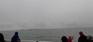 La rochelle PORT DES MINIMES