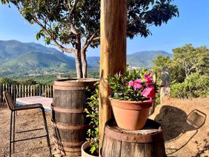 Maisons de vacances Tradition Corse et Modernite Bergerie Anto-Micheli : photos des chambres