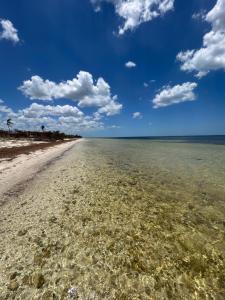 Casa Arsha Beachfront Bed & Breakfast