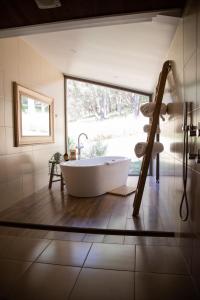 The Buckland Studios