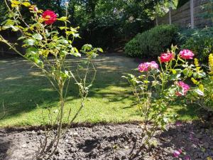 4 bed detached house near Manchester Airport Manchester -Cheadle