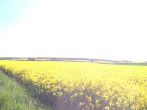Beau Gîte Rénové avec Grand Parc, Activités, Près de Dreux, Nogent et Chartres - FR-1-581-57
