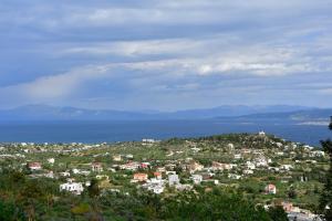 Mikas View