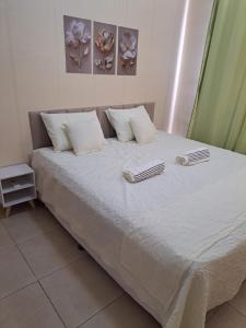 Apê aconchegante bem localizado