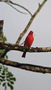 Casa Eden Near Manuel Antonio