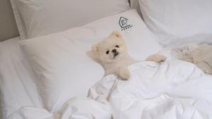 Geyongju Forest 258 Pet-friendly Pool Villa