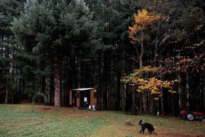 River Haven Tiny House by Tiny Away