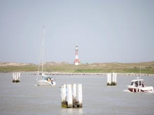 Apartment in Nieuwpoort with sea beach, cleaning included