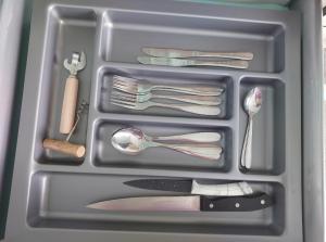 Луцеорія студія