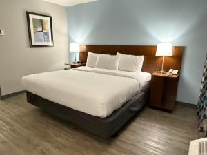King Room - Disability Access room in Silver Beach Hotel