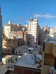 شقه مفروشه خلف كافتيريا ابو الحسن خالد بن الوليد ميامي الاسكندريه