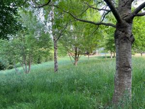 Maisons d'hotes Chand-Home - Gite rural : photos des chambres