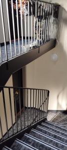 Appartements Metz vieille ville quartier Sainte Croix En haut de la Colline : photos des chambres