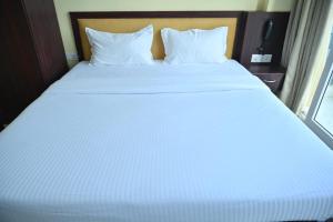 Hotel Shantam Regency