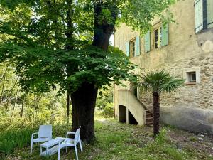Appartements Bambou Studio, Cocon nature : photos des chambres