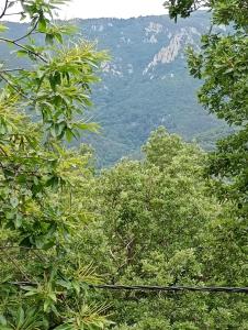 Appartements Le cortal : photos des chambres