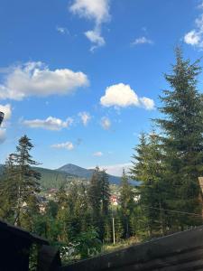 Chalet Shepit Karpat