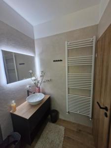 Apartment and Room Marlen